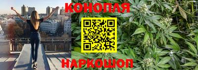 ПСИЛОЦИБИНОВЫЕ ГРИБЫ Пушкино