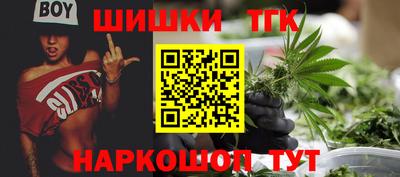 индика Пыть-Ях