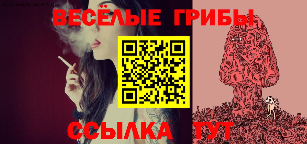 Галлюциногенные грибы MAGIC MUSHROOMS Топки
