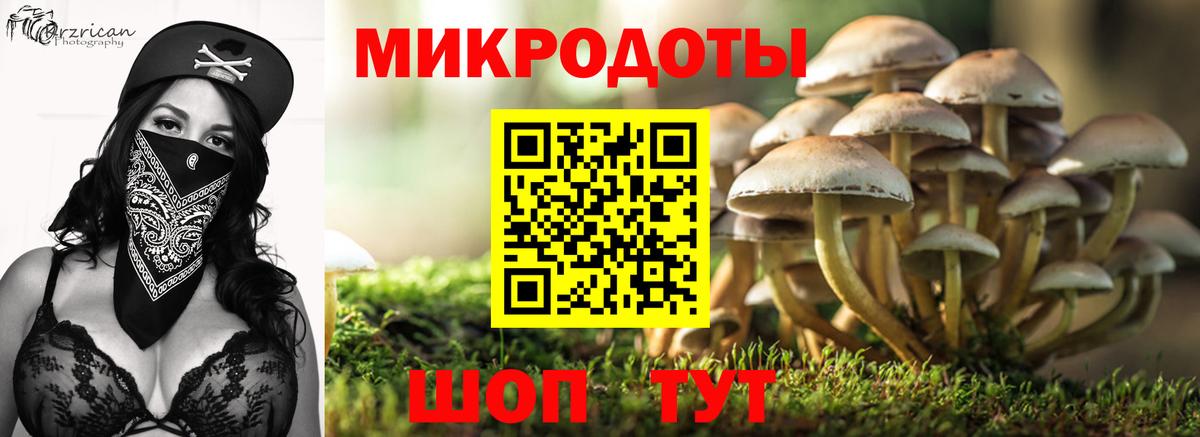 Галлюциногенные грибы мухоморы  Вход с VPN  Галлюциногенные грибы Cubensis  сколько стоит  Топки 